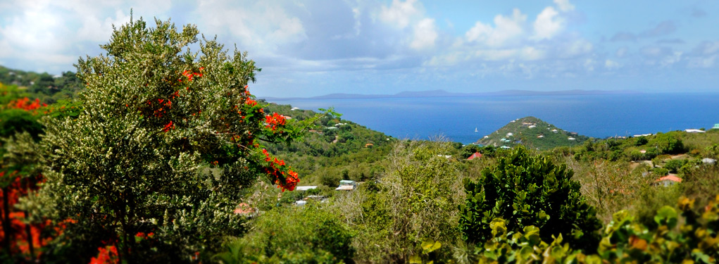 The view of the West Shore of St. John, USVI